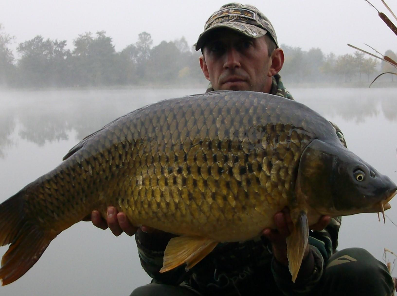 florian tanasa - 313.JPG